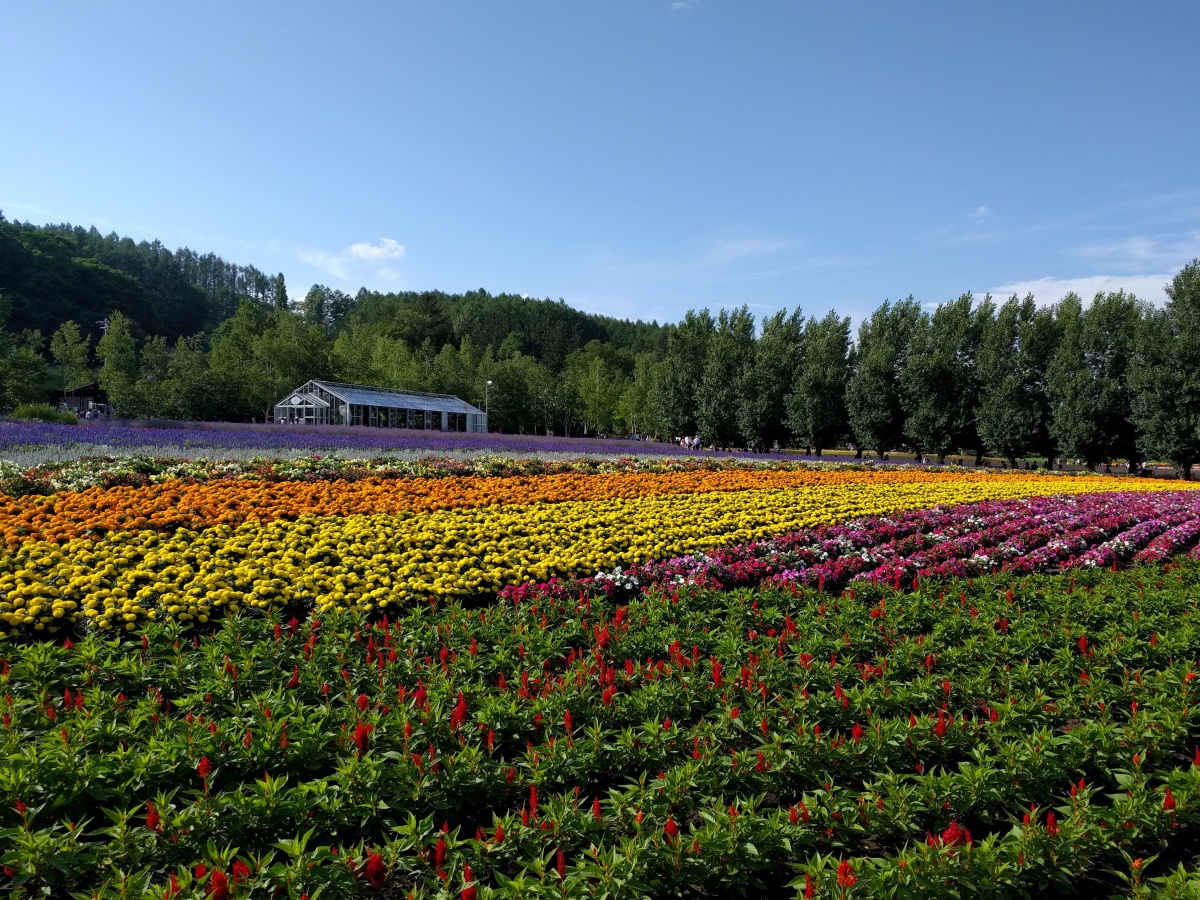 When the Nomad Stops to Plant a�Garden