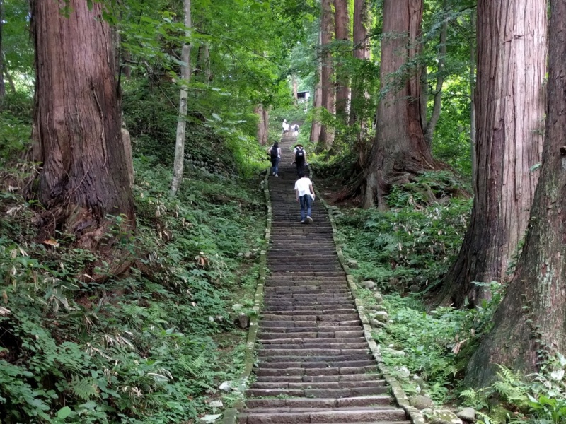 Is Japanese Language School Worth It for Western�Students?