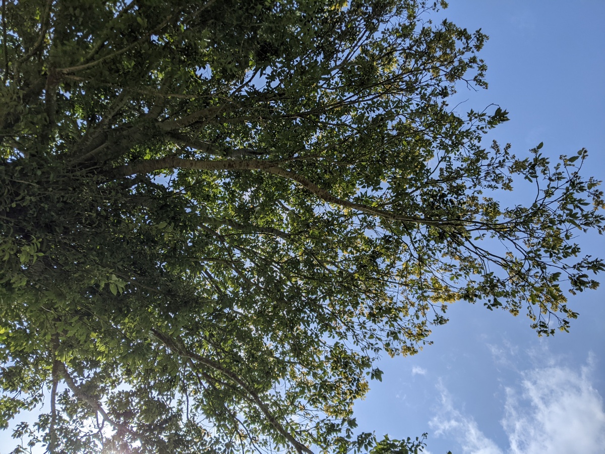 I Summarized 8 Common Self-Help Articles So You’ll Never Have To Read Them&nbsp;Again