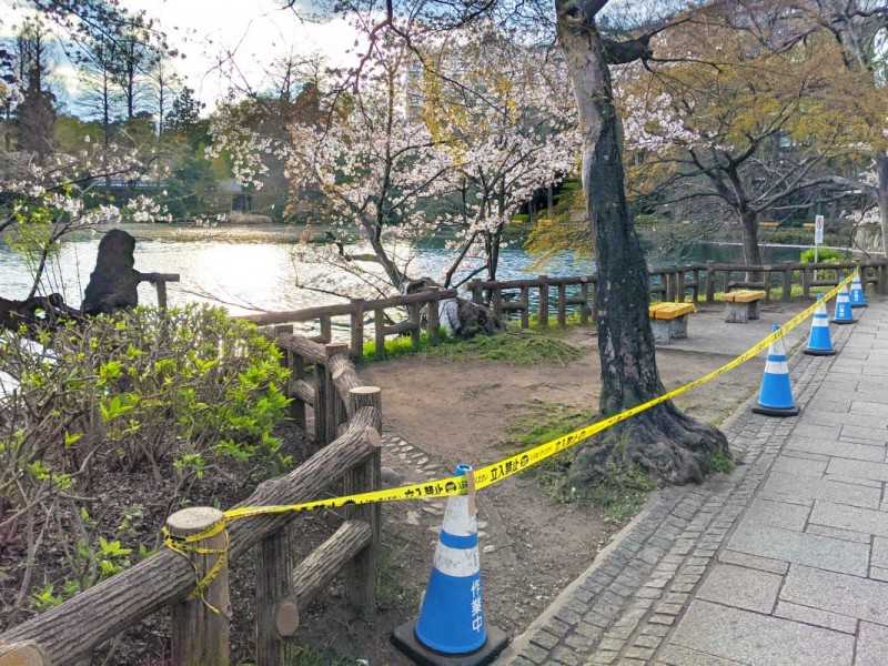 Japan’s Coronavirus Response, As Seen by a Non-Japanese�Resident